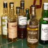 20120817 whisky verkostung